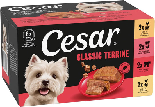 Classicterrine Dog Food Wet - Mixed Selection in Jelly, 8X150G (Pack of 3)