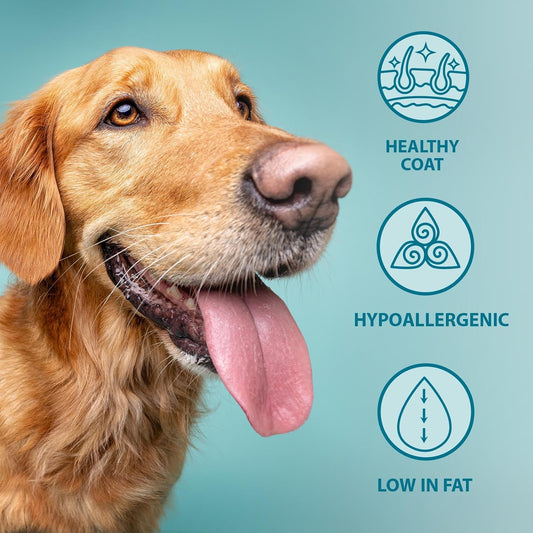 Pet Nutrition Hypoallergenic Complete Dry Dog Food Adult and Senior Dog Original Fish and Brown Rice 2 Kg
