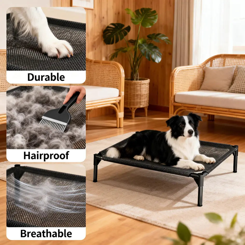 Contemporary Elevated Dog Bed - Chew Resistant, Machine Washable Mesh Cot with Anti-Slip Feet, Durable for Large Dogs, Tool-Free Assembly, Indoor/Outdoor Use, Black
