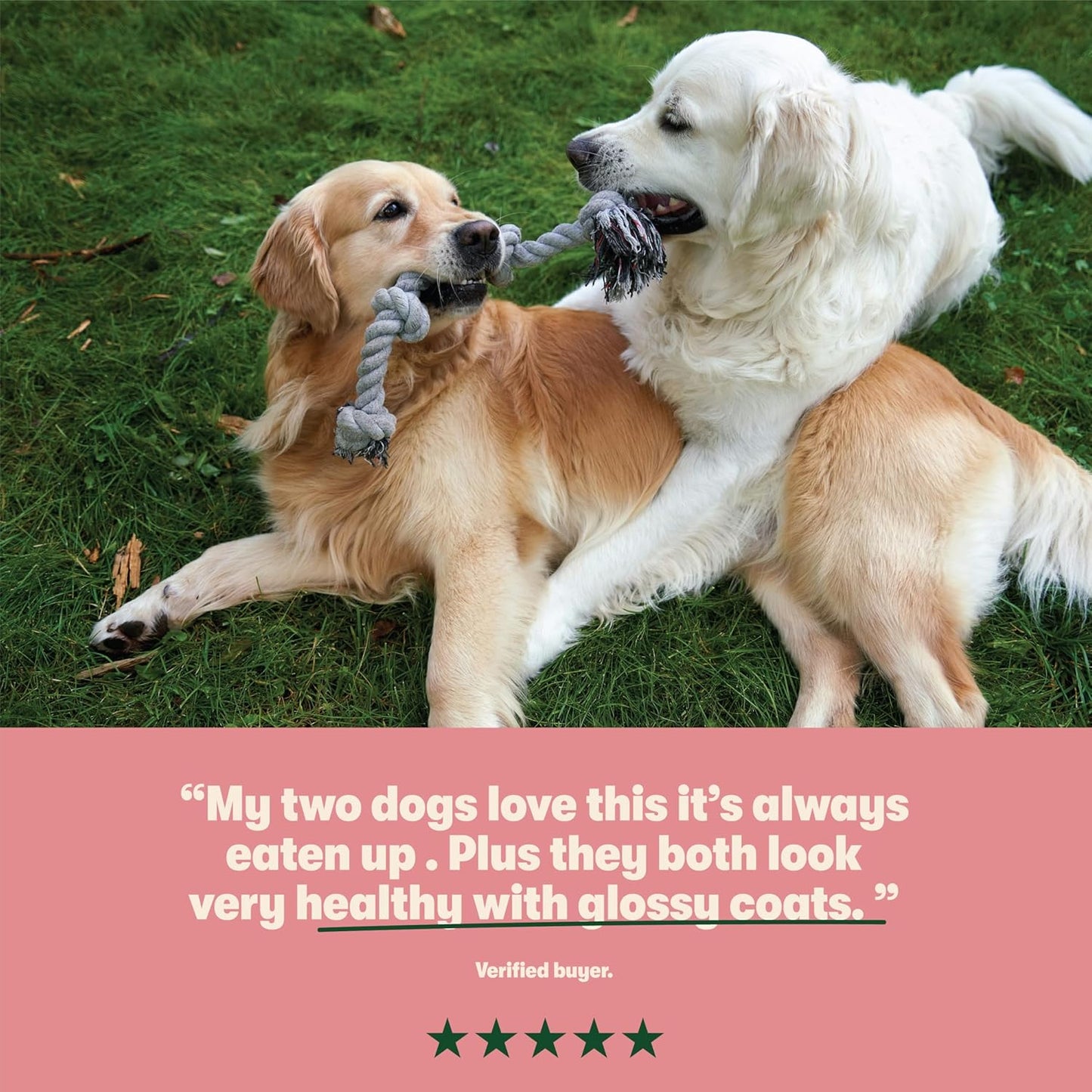 Complete Dry Adult Dog Food Salmon & Potato 18Kg - Made with All Natural Ingredients (Packaging May Vary)
