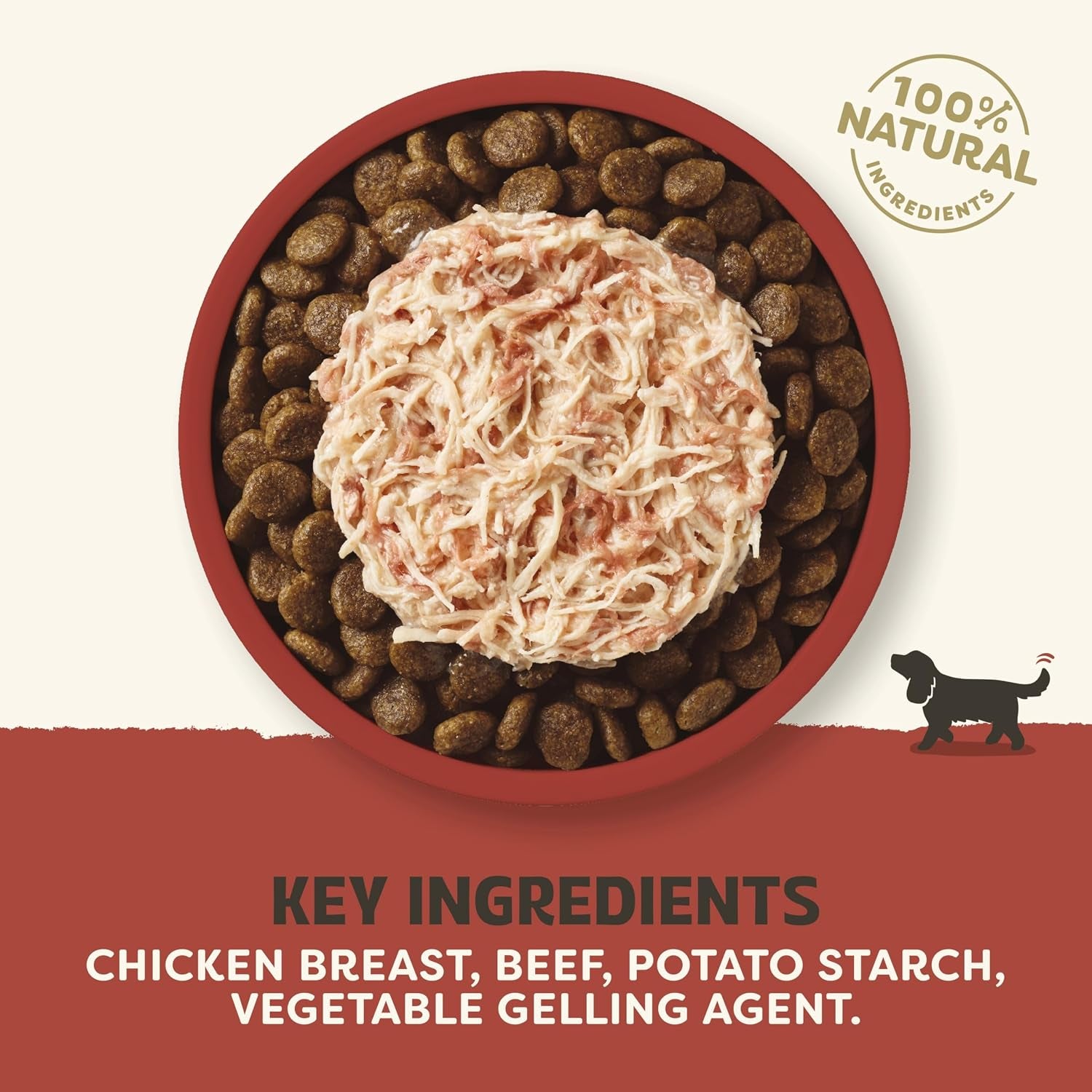 100% Natural Wet Dog Food, Grain Free Chicken with Beef in Gravy Tin, 156G (Pack of 12)
