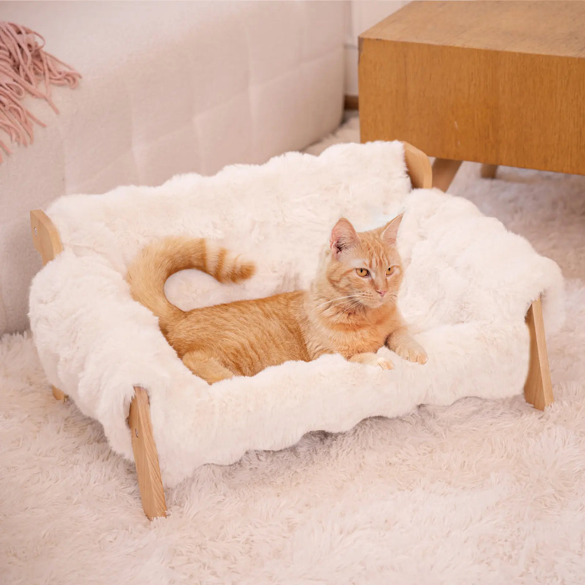 Elevated Pet Couch Bed, Solid Wood Sofa for Cat and Small Dog 