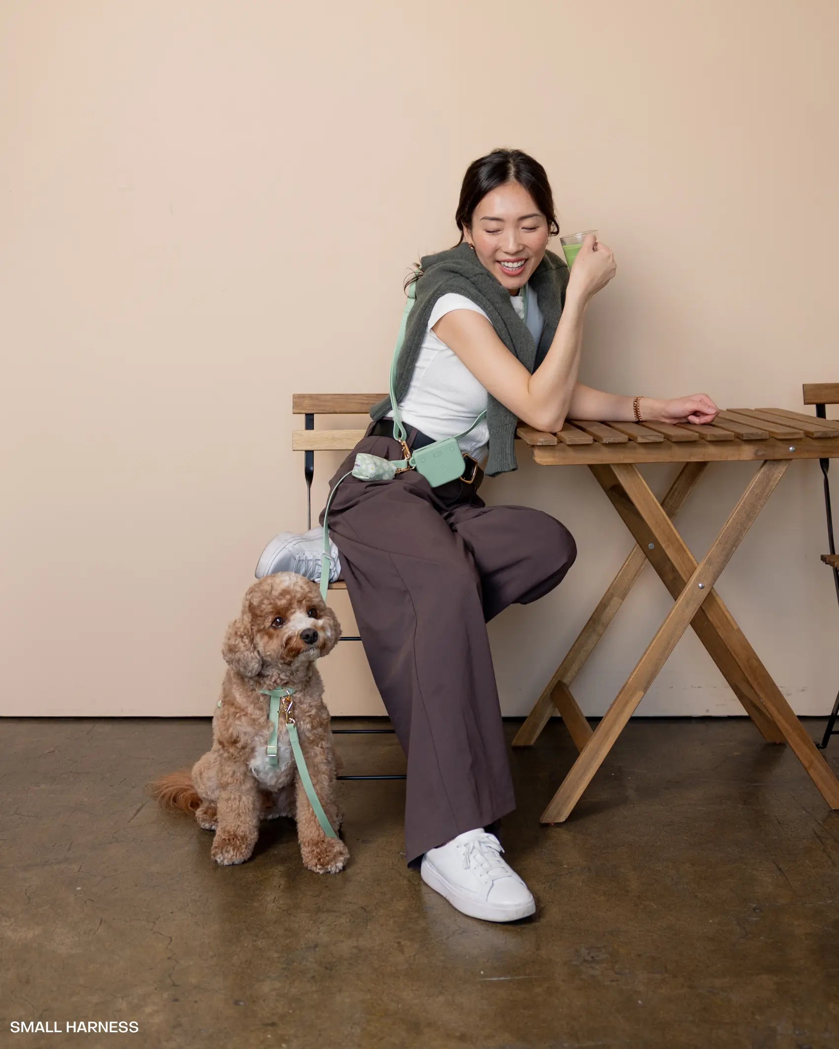 Convertible 4-in-1 Hands-Free Cloud Dog Leash, 8.5 Feet Long, Adjustable Width (5/8" or 3/4")