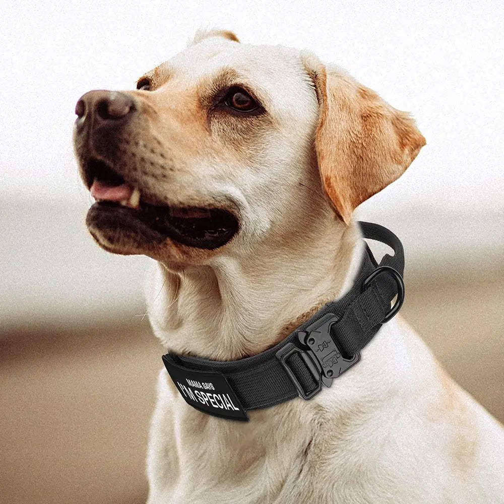 Tactical Dog Collar with Handle - Heavy Duty Accessory for Medium to Large Pets, Suitable for Dogs and Cats