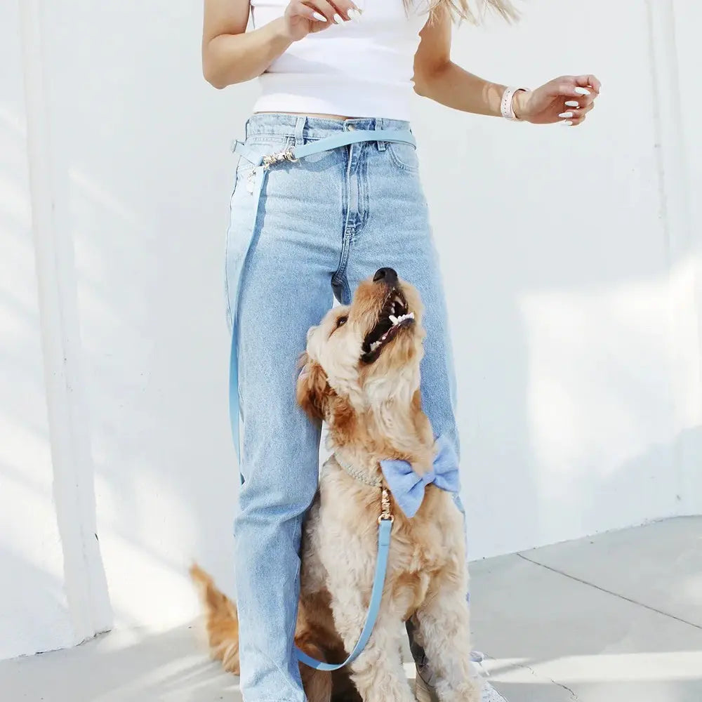 Convertible 4-in-1 Hands-Free Cloud Dog Leash, 8.5 Feet Long, Adjustable Width (5/8" or 3/4")