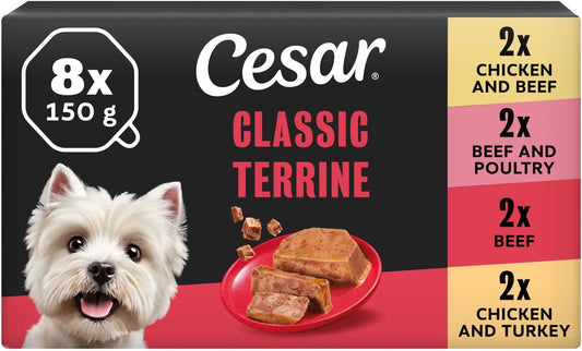 Classicterrine Dog Food Wet - Mixed Selection in Jelly, 8X150G (Pack of 3)