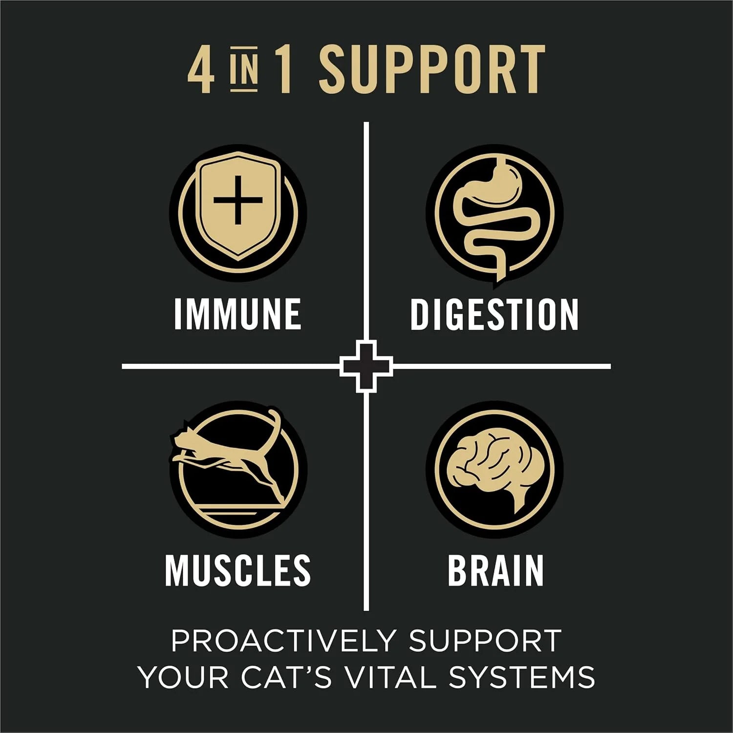 Purina Vital Systems Salmon and Egg Formula 4-In-1 Adult Dry Cat Food - 3 Lb. Bag