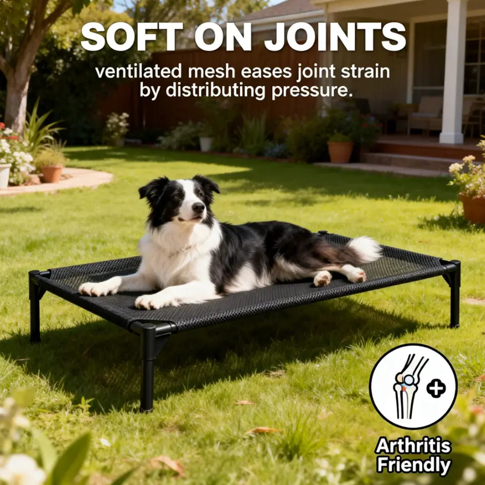 Contemporary Elevated Dog Bed - Chew Resistant, Machine Washable Mesh Cot with Anti-Slip Feet, Durable for Large Dogs, Tool-Free Assembly, Indoor/Outdoor Use, Black