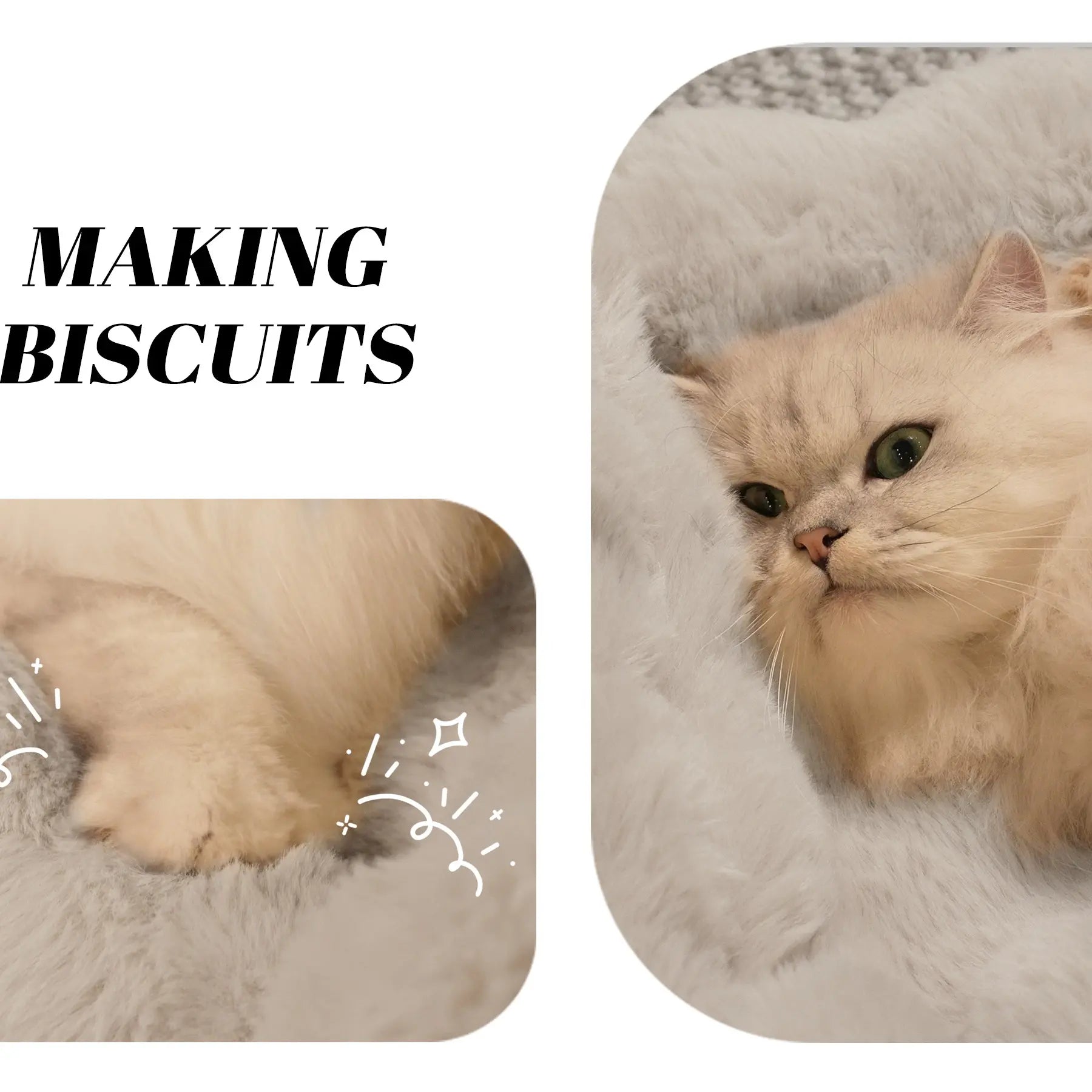 Elevated Pet Couch Bed, Solid Wood Sofa for Cat and Small Dog 