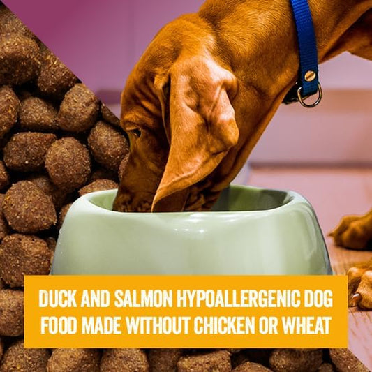 Hypoallergenic Duck & Salmon Dry Dog Food 12.5Kg – Wheat Free & Chicken Free Dog Food Recipe for Sensitive Stomach & Allergies – Complete Adult & Senior Working Dog Food