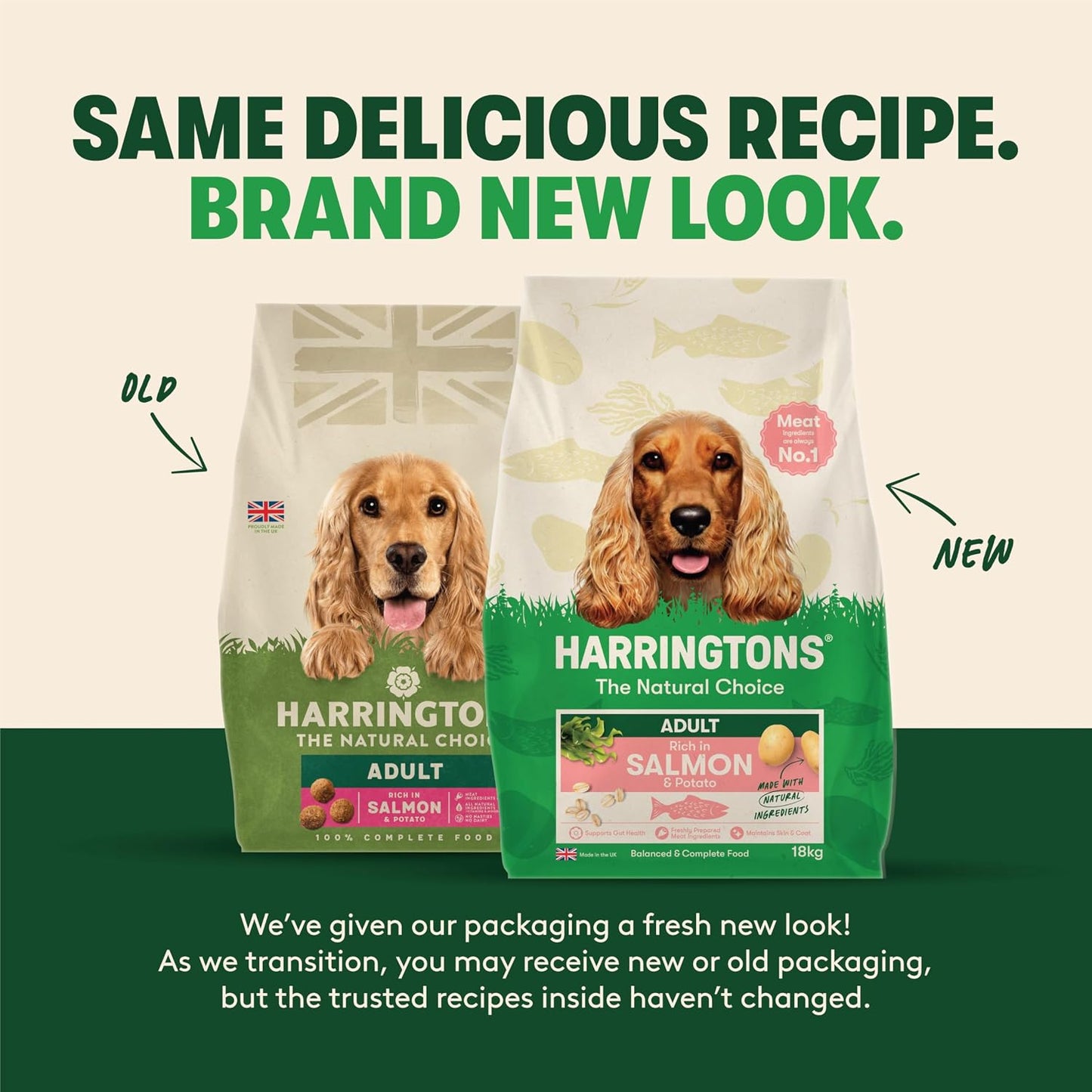 Complete Dry Adult Dog Food Salmon & Potato 18Kg - Made with All Natural Ingredients (Packaging May Vary)