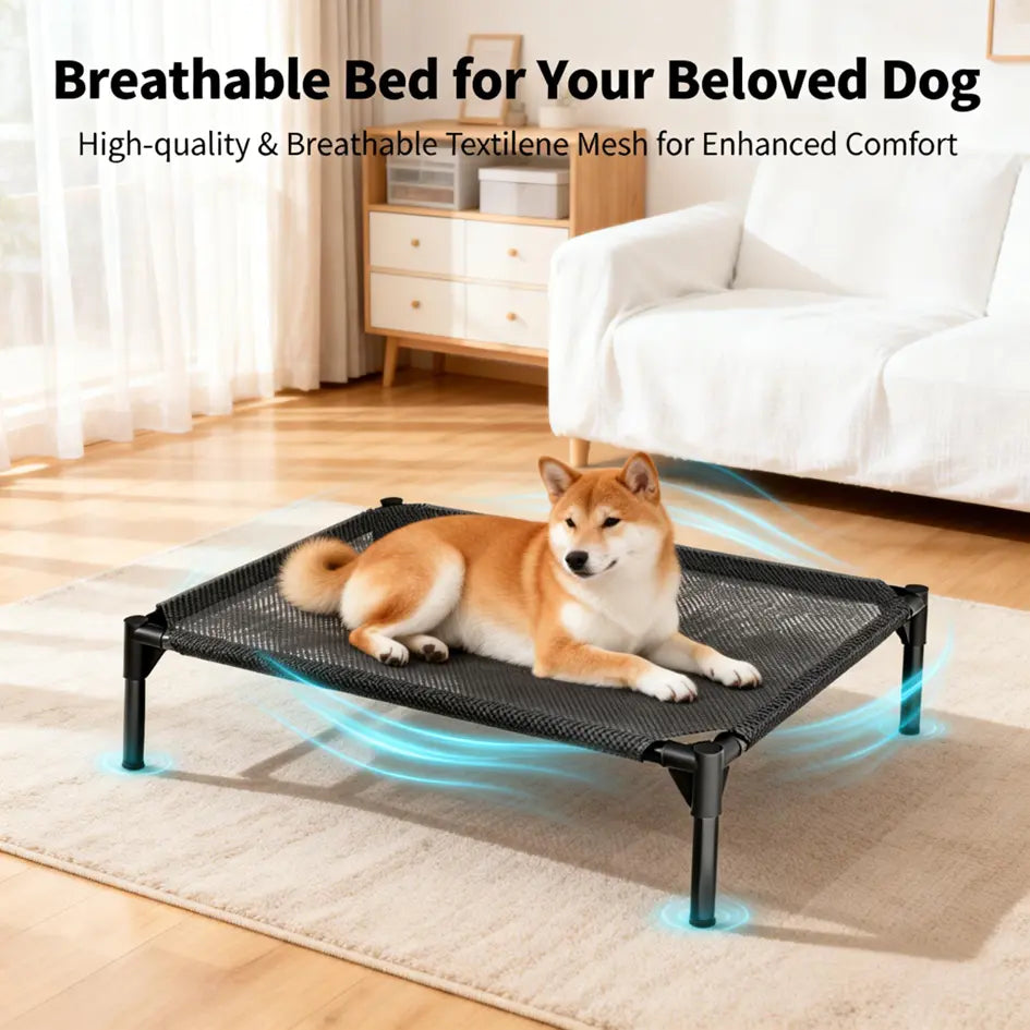 Contemporary Elevated Dog Bed - Chew Resistant, Machine Washable Mesh Cot with Anti-Slip Feet, Durable for Large Dogs, Tool-Free Assembly, Indoor/Outdoor Use, Black