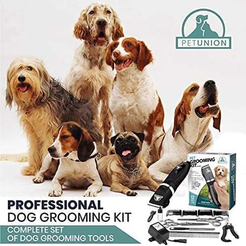 Professional Rechargeable Cordless Pet Grooming Kit with Low Noise Clippers and Accessories for Dogs, Cats, and Other Pets (Grey)