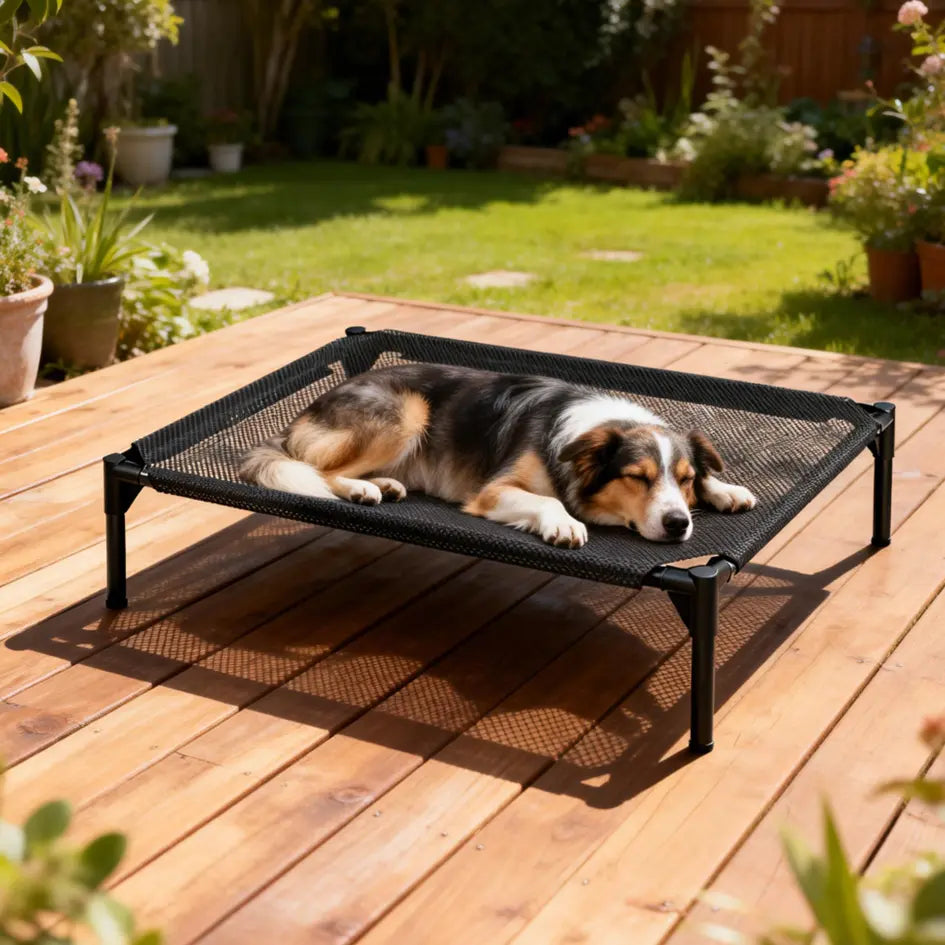 Contemporary Elevated Dog Bed - Chew Resistant, Machine Washable Mesh Cot with Anti-Slip Feet, Durable for Large Dogs, Tool-Free Assembly, Indoor/Outdoor Use, Black