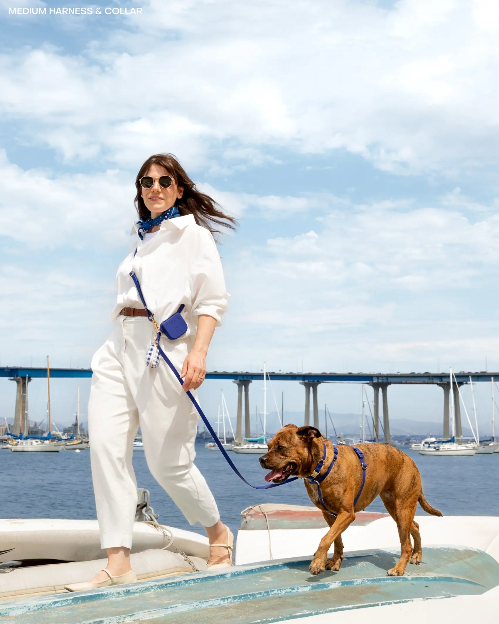 Convertible 4-in-1 Hands-Free Cloud Dog Leash, 8.5 Feet Long, Adjustable Width (5/8" or 3/4")