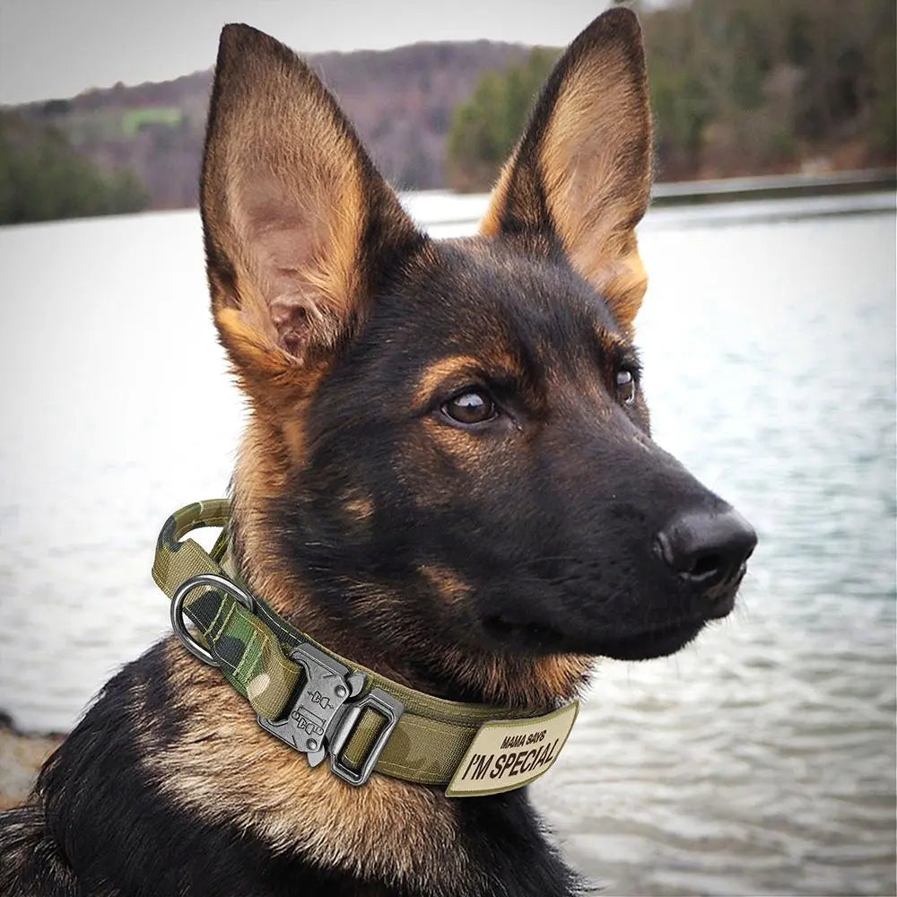 Tactical Dog Collar with Handle - Heavy Duty Accessory for Medium to Large Pets, Suitable for Dogs and Cats
