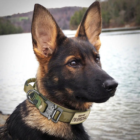 Tactical Dog Collar with Handle - Heavy Duty Accessory for Medium to Large Pets, Suitable for Dogs and Cats